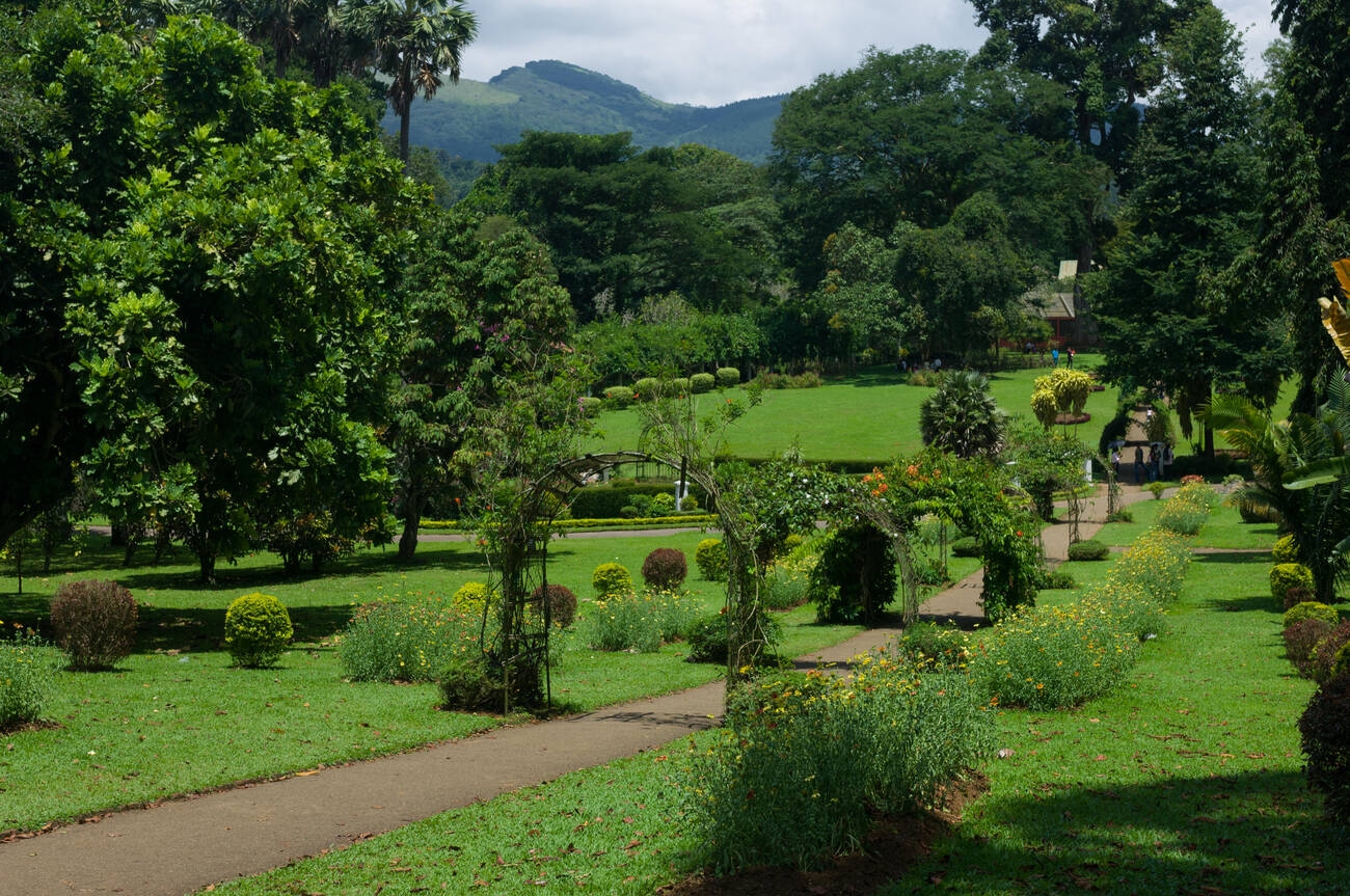 Discover Sri Lanka 12